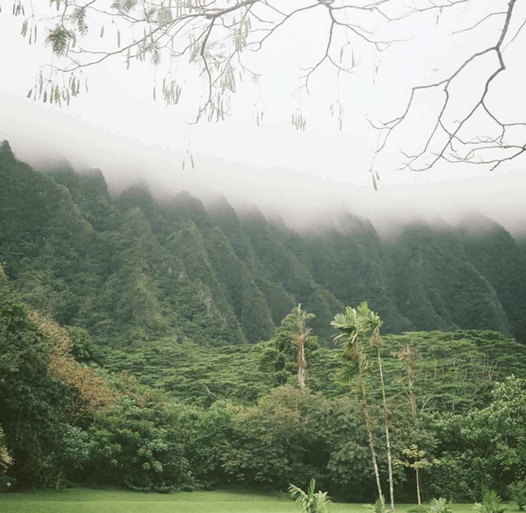 Misty green mountainside on Maui shrouded in clouds