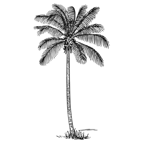 Made in Hawaii Trust and Credibility Badges - Palm Tree Graphic